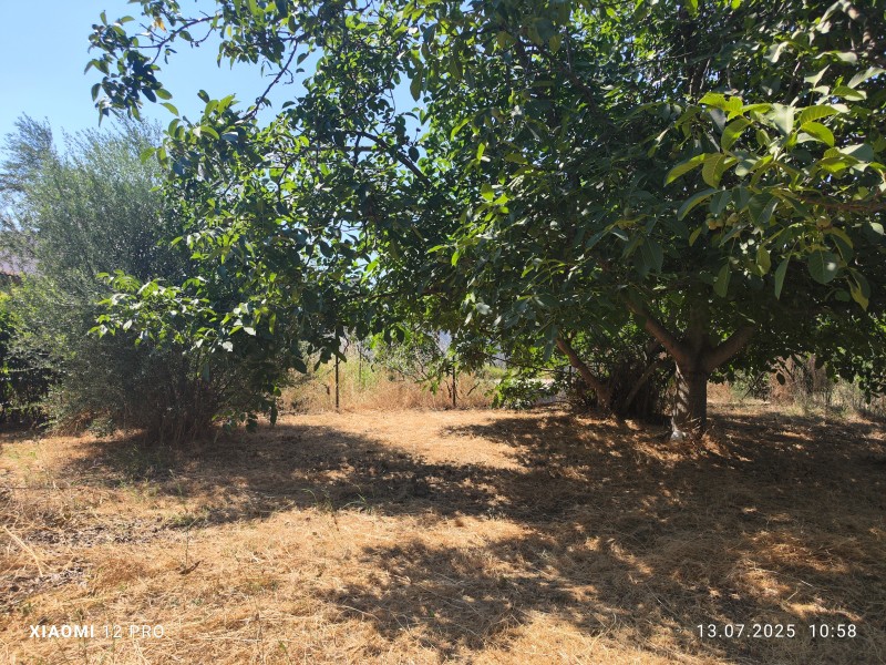 Αγροτεμάχια 460 τ.μ. πρός πώληση, Ν. Καβάλας, Παγγαίο