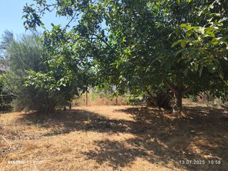 Αγροτεμάχια 460 τ.μ. πρός πώληση, Ν. Καβάλας, Παγγαίο-thumb-3