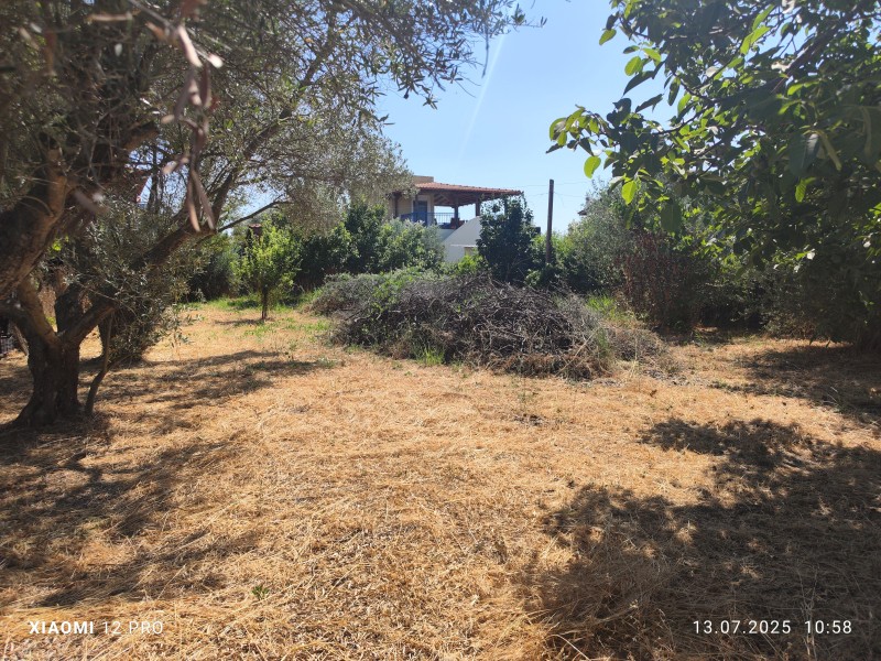 Αγροτεμάχια 460 τ.μ. πρός πώληση, Ν. Καβάλας, Παγγαίο