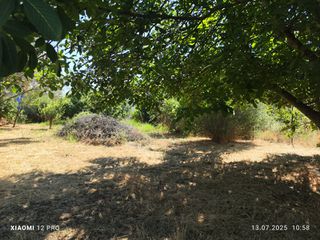 Αγροτεμάχια 460 τ.μ. πρός πώληση, Ν. Καβάλας, Παγγαίο-thumb-7