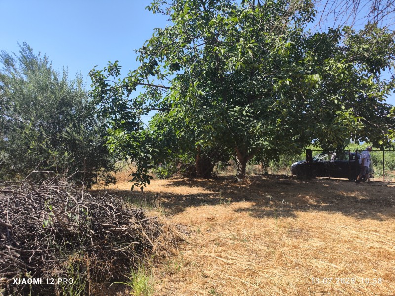 Αγροτεμάχια 460 τ.μ. πρός πώληση, Ν. Καβάλας, Παγγαίο