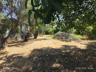 Αγροτεμάχια 460 τ.μ. πρός πώληση, Ν. Καβάλας, Παγγαίο-thumb-6
