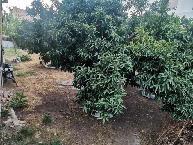 Μονοκατοικία 86 τ.μ. προς πώληση, Αιτωλοακαρνανία, Ναύπακτος