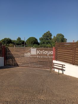 Land plot 5.750sqm for sale-Pirgos » Korakochori