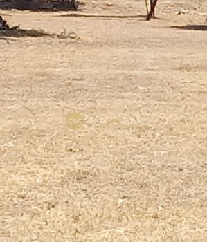 Parcel 2.000sqm for sale-Keratea » Rountzeri Lemprou