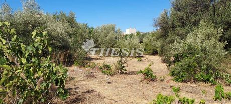 Οικόπεδο 420τ.μ. για πώληση-Μαρούσι » Σωρός