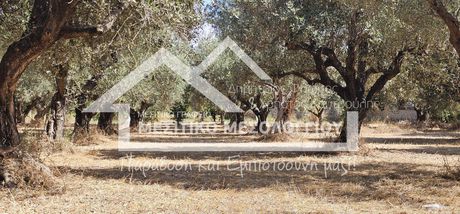 Parcel 8.200sqm for sale-Iera Poli Messologiou