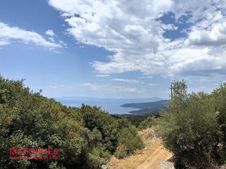 Οικόπεδο 861 τ.μ. προς πώληση, Εξωχώρι-thumb-2