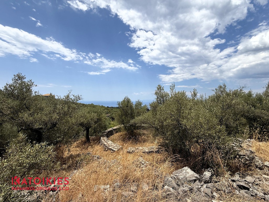 Οικόπεδο 861 τ.μ. προς πώληση, Εξωχώρι