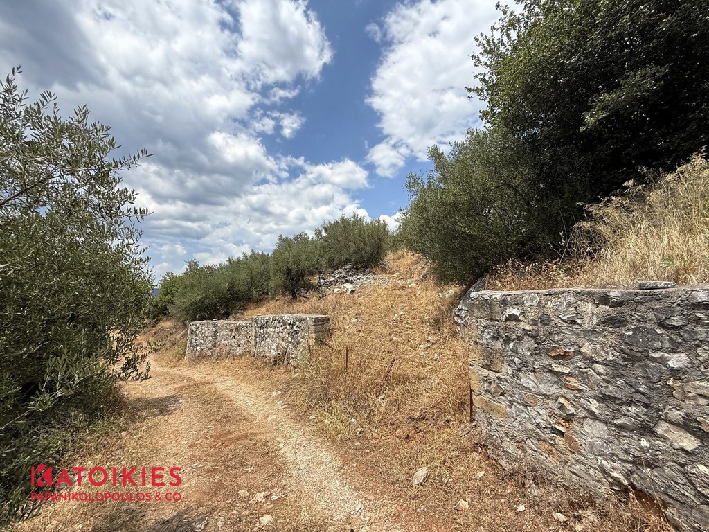 Οικόπεδο 861 τ.μ. προς πώληση, Εξωχώρι
