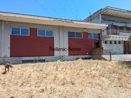 Βιοτεχνικός χώρος 4.350 τ.μ. για ενοικίαση