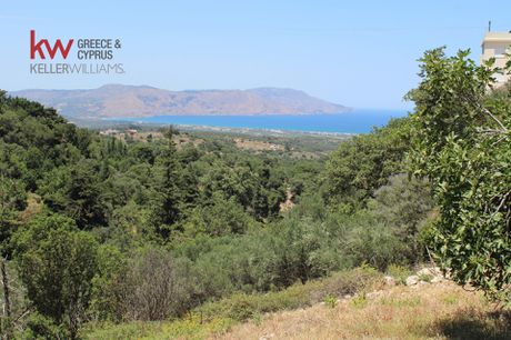 Οικόπεδο 2.607,22τ.μ. για πώληση-Γεωργιούπολη