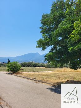 Οικόπεδο 272,4τ.μ. για πώληση-Λαμία