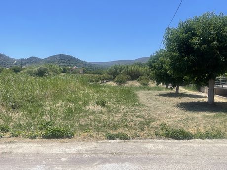 Οικόπεδο 738,92τ.μ. για πώληση-Χίος