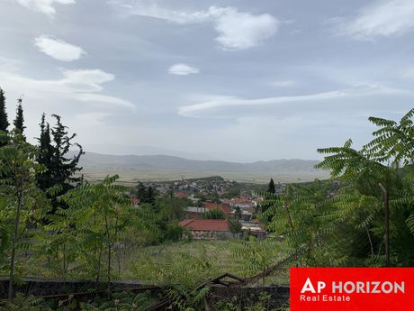 Οικόπεδο 1.000τ.μ. για πώληση-Ξυνιάδα