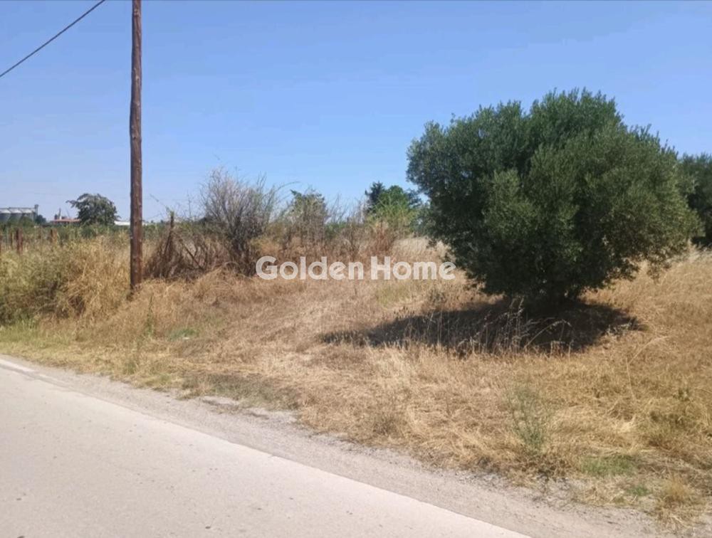 Αγροτεμάχια 4.842 τ.μ. προς πώληση, Καμάρα Θεσσαλονίκης