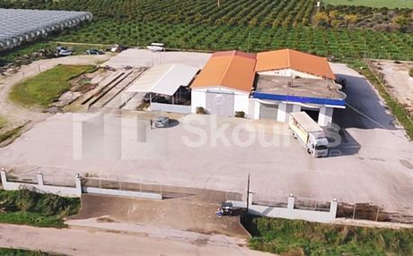 Επιχειρηματικό κτίριο 8.000τ.μ. για πώληση-Άργος