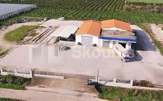 Επιχειρηματικό κτίριο 8.000 τ.μ. για πώληση