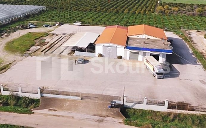Επιχειρηματικό κτίριο 8.000 τ.μ. για πώληση, Αργολίδα, Άργος