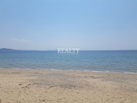 Οικόπεδο 10.500τ.μ. για πώληση-Πολύγυρος » Καλύβες πολυγύρου