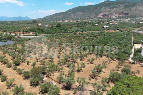 Οικόπεδο 5.603,77 τ.μ. για πώληση