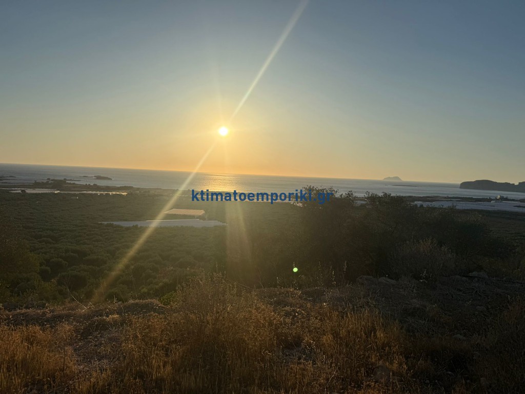 Οικόπεδο 5.500 τ.μ. προς πώληση, Φαλασαρνά