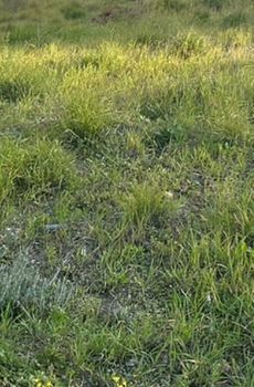 Land plot 750 sqm for sale