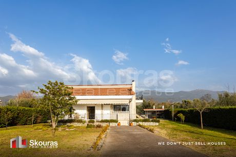 Μονοκατοικία 204τ.μ. για πώληση-Οιχαλία