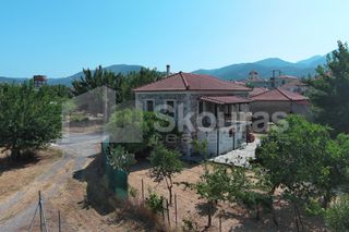 Μονοκατοικία 145,80 τ.μ. για πώληση, Μεσσηνία, Οιχαλία-thumb-21