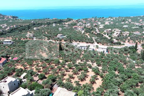 Οικόπεδο 2.084,55τ.μ. για πώληση-Λεύκτρος