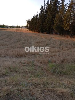 Αγροτεμάχια 1.800τ.μ. για πώληση-Πυλαία