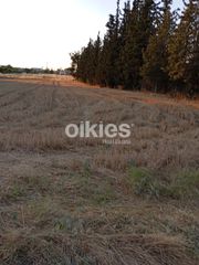 Αγροτεμάχια 1.800 τ.μ. για πώληση