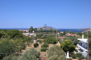 Μονοκατοικία 268 τ.μ. για πώληση