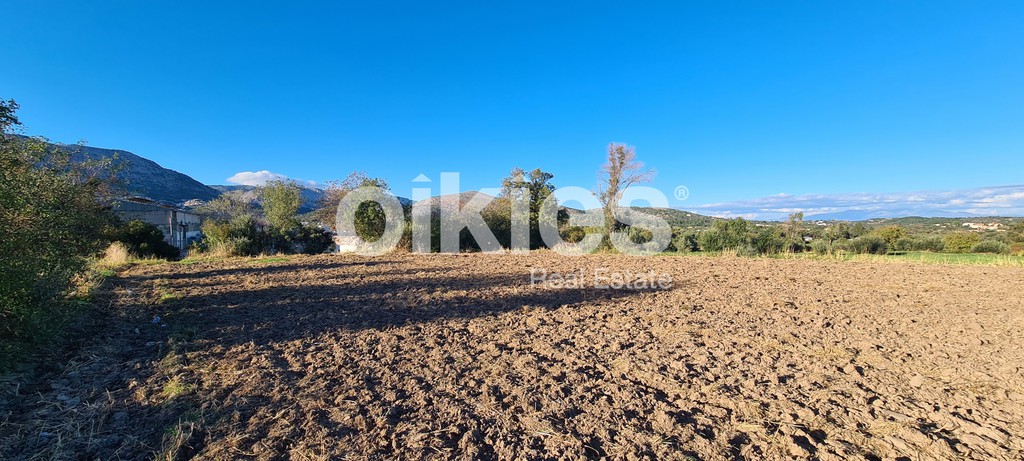 Αγροτεμάχια 2.923 τ.μ. προς πώληση, Μαστιχοχώρια