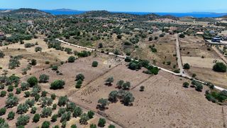 Αγροτεμάχια 4.020 τ.μ. προς πώληση, Κινέτα Ερμιόνης-thumb-11