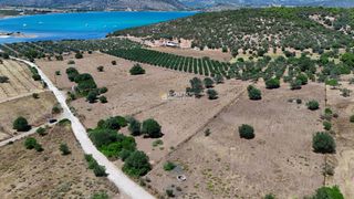 Αγροτεμάχια 4.020 τ.μ. προς πώληση, Κινέτα Ερμιόνης-thumb-6