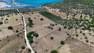 Αγροτεμάχια 4.020 τ.μ. προς πώληση, Κινέτα Ερμιόνης-thumb-21