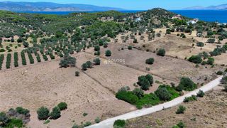 Αγροτεμάχια 4.020 τ.μ. προς πώληση, Κινέτα Ερμιόνης-thumb-24