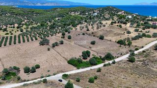 Αγροτεμάχια 4.020 τ.μ. προς πώληση, Κινέτα Ερμιόνης-thumb-18