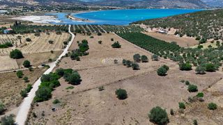 Αγροτεμάχια 4.020 τ.μ. προς πώληση, Κινέτα Ερμιόνης-thumb-7