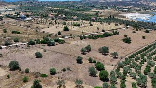 Αγροτεμάχια 4.020 τ.μ. προς πώληση, Κινέτα Ερμιόνης-thumb-9