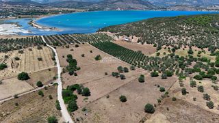 Αγροτεμάχια 4.020 τ.μ. προς πώληση, Κινέτα Ερμιόνης-thumb-20