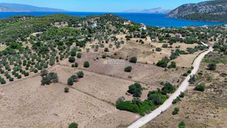 Αγροτεμάχια 4.020 τ.μ. προς πώληση, Κινέτα Ερμιόνης-thumb-16