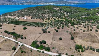 Αγροτεμάχια 4.020 τ.μ. προς πώληση, Κινέτα Ερμιόνης-thumb-3