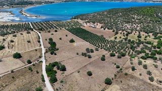 Αγροτεμάχια 4.020 τ.μ. προς πώληση, Κινέτα Ερμιόνης-thumb-23