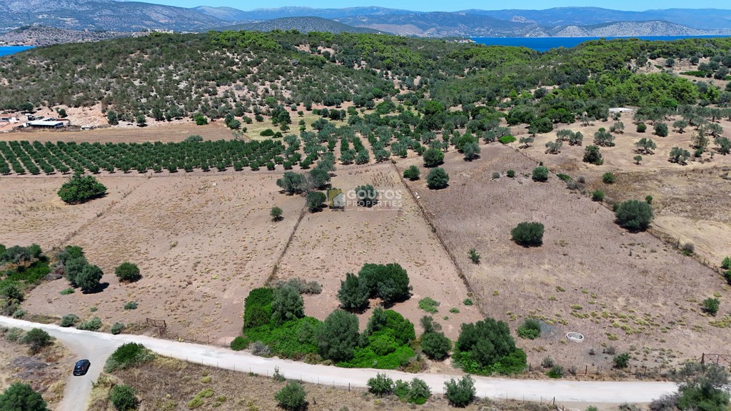 Αγροτεμάχια 4.020 τ.μ. προς πώληση, Κινέτα Ερμιόνης