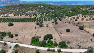 Αγροτεμάχια 4.020 τ.μ. προς πώληση, Κινέτα Ερμιόνης-thumb-4