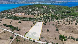 Αγροτεμάχια 4.020 τ.μ. προς πώληση, Κινέτα Ερμιόνης-thumb-25