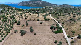Αγροτεμάχια 4.020 τ.μ. προς πώληση, Κινέτα Ερμιόνης-thumb-15