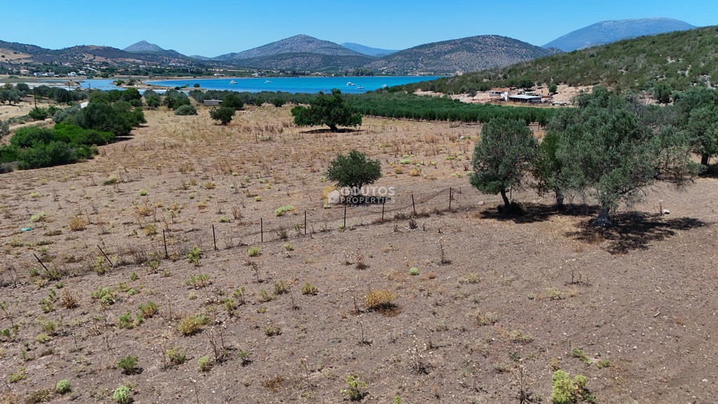 Αγροτεμάχια 4.020 τ.μ. προς πώληση, Κινέτα Ερμιόνης